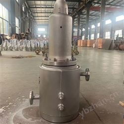 非标定制夹套保温波纹管安全阀