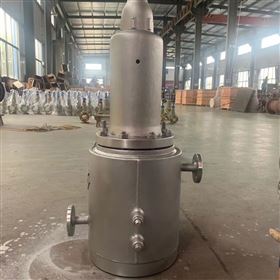 非标定制夹套保温波纹管安全阀