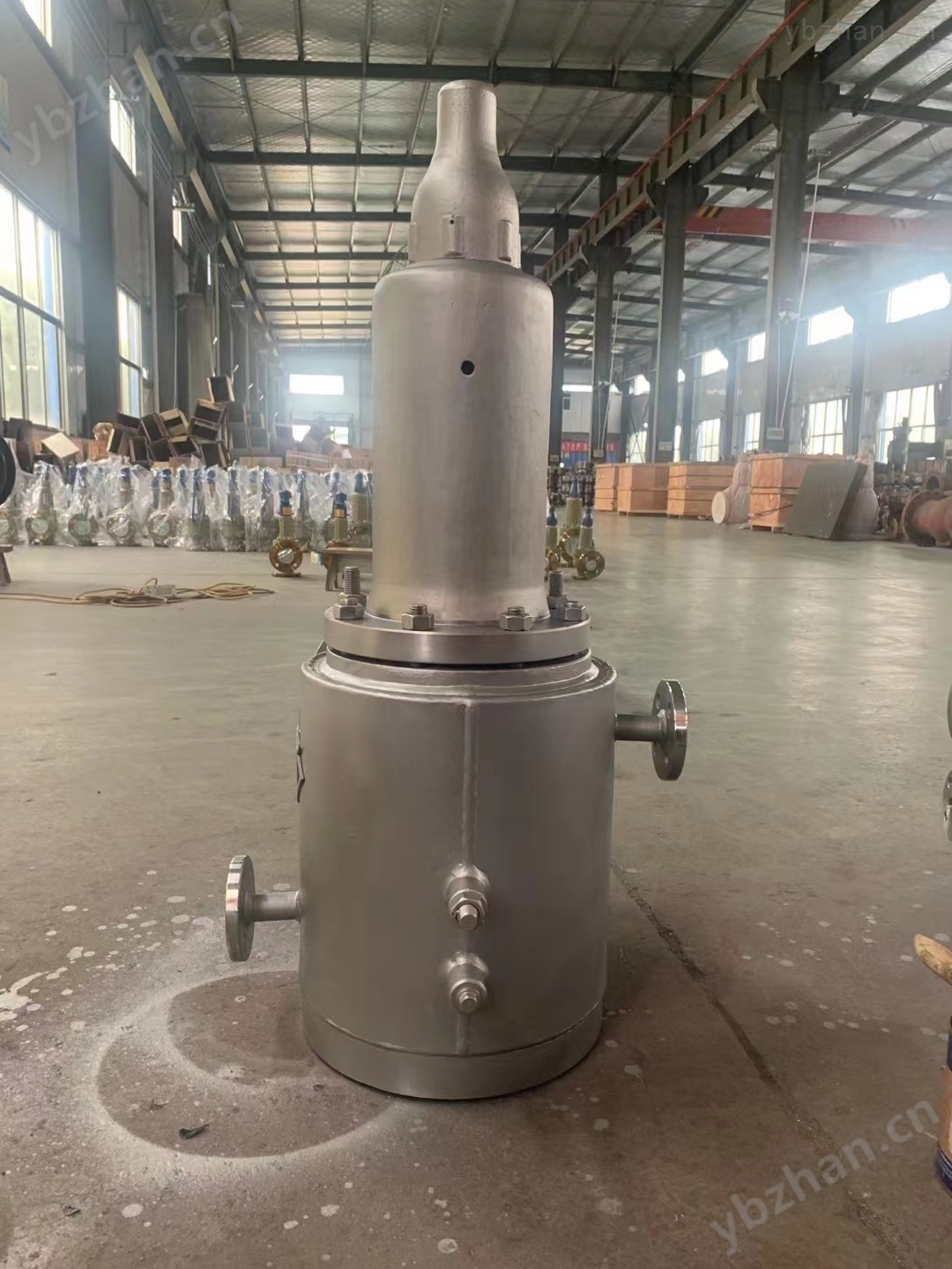 非标定制夹套保温波纹管安全阀