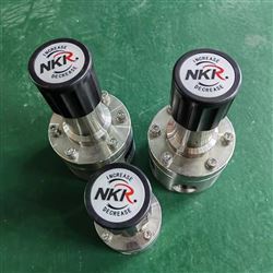 NKRGBF-300高温背压阀