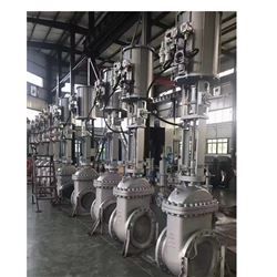 Z644Y-150气动双闸板美标闸阀